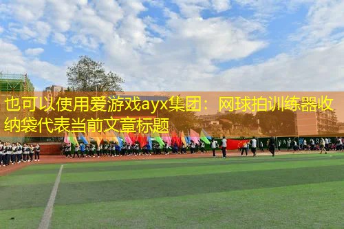 愛游戲ayx集團：網球拍訓練器收納袋