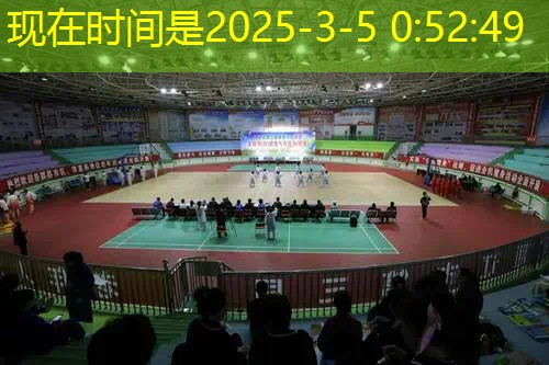 ayx愛游戲公司：網球拍球員編號怎么查
