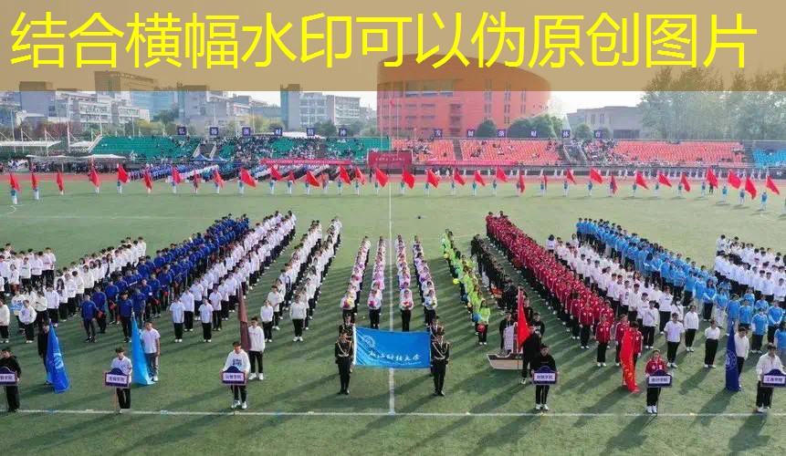 愛游戲ayx官方全站：迪卡儂有網(wǎng)球拍嗎_