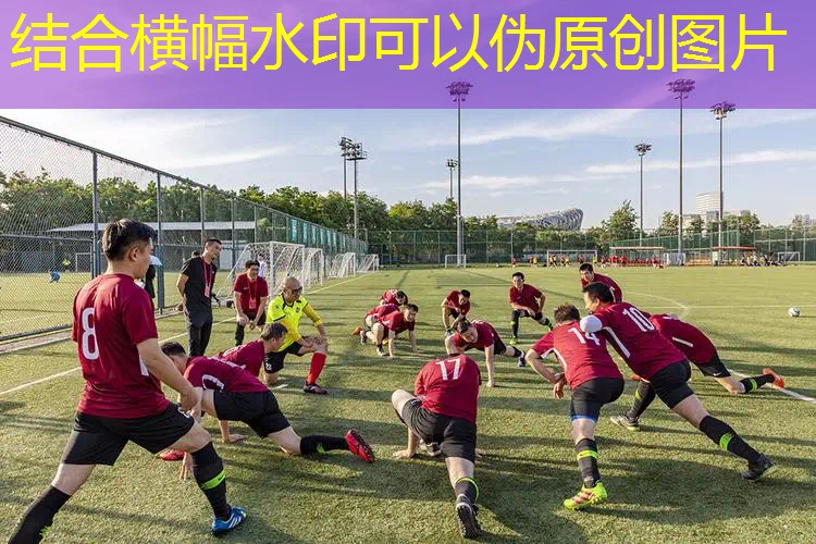 愛游戲ayx總部：海德1820網(wǎng)球拍經(jīng)典款