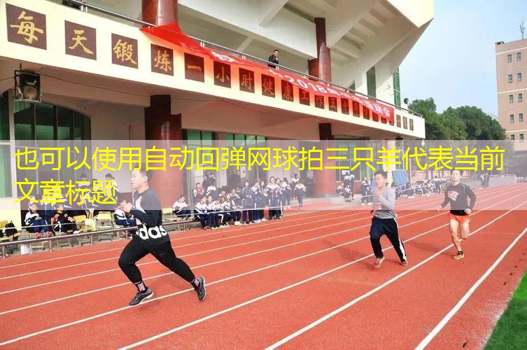 自動回彈網(wǎng)球拍三只羊