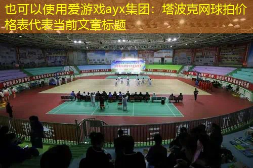 愛游戲ayx集團：塔波克網(wǎng)球拍價格表