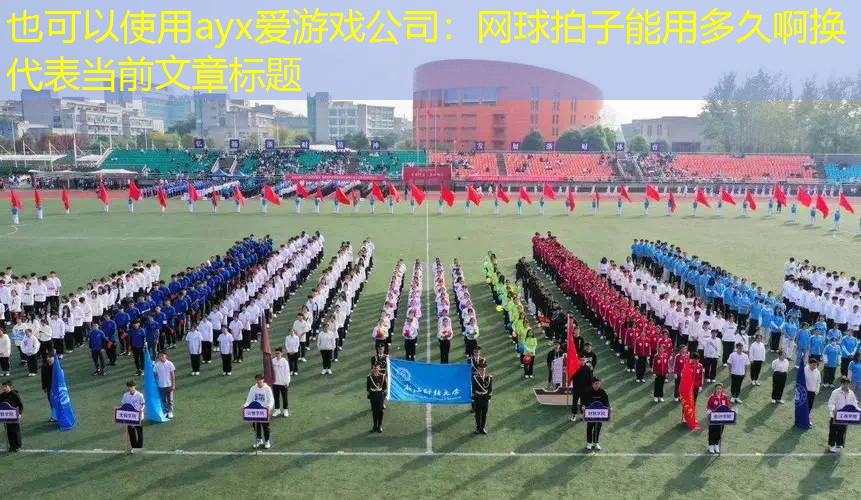 ayx愛游戲公司：網(wǎng)球拍子能用多久啊換