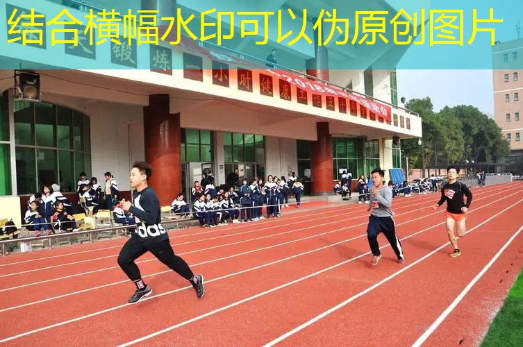 愛游戲ayx官方全站：海德百寶力兒童網(wǎng)球拍