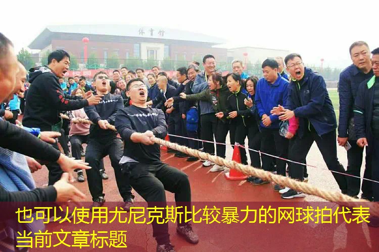 尤尼克斯比較暴力的網(wǎng)球拍