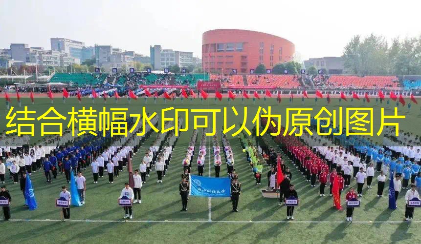 溫江區(qū)網(wǎng)球拍好學(xué)嗎_