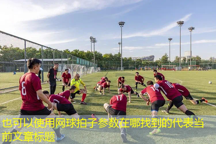 網(wǎng)球拍子參數(shù)在哪找到的