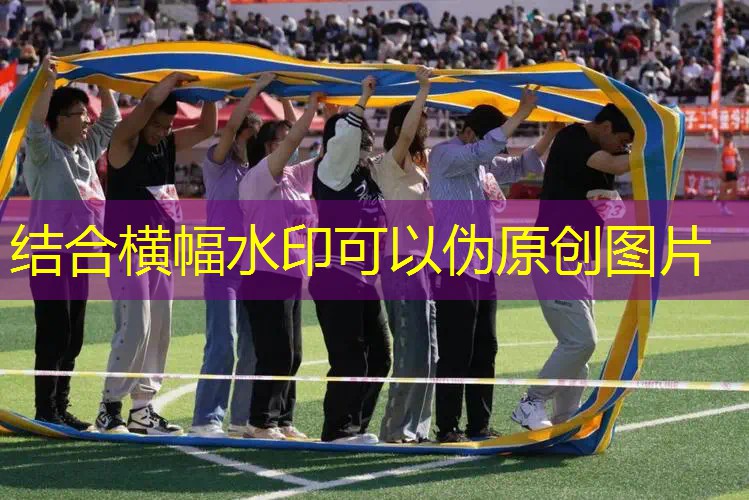 擎天柱配色的網(wǎng)球拍