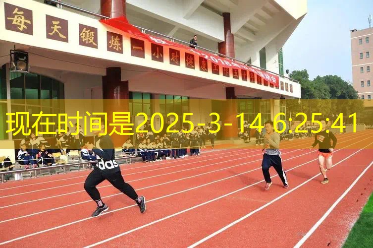 自動(dòng)回彈網(wǎng)球拍三只羊 自動(dòng)回彈網(wǎng)球拍三只羊