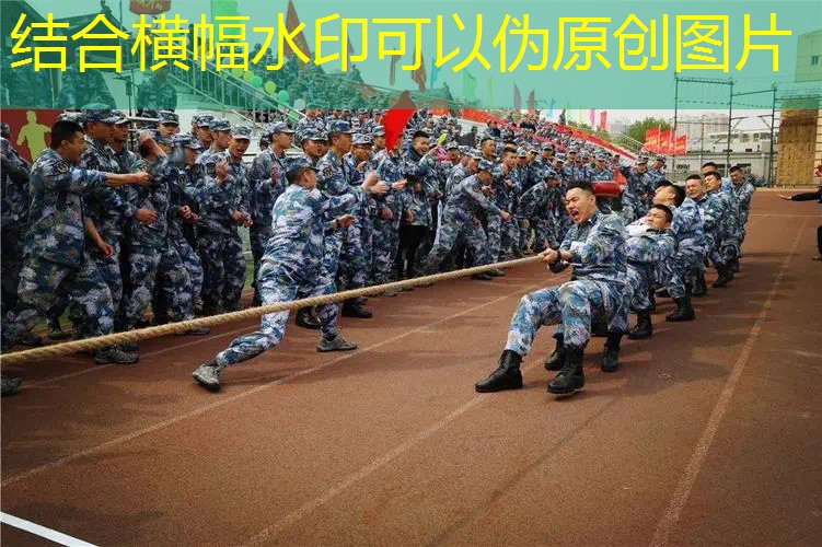 新款體感網(wǎng)球拍價格表 新款體感網(wǎng)球拍價格表