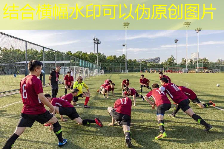 網(wǎng)球拍子參數(shù)在哪找到的 網(wǎng)球拍子參數(shù)在哪找到的