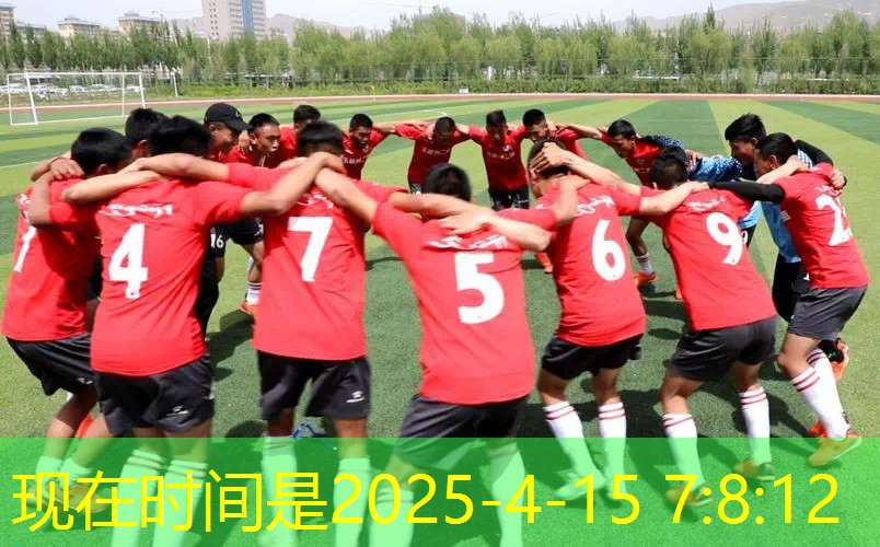 復(fù)合碳素網(wǎng)球拍初學(xué)者