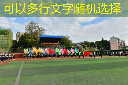 波西亞時光釣魚網(wǎng)球拍